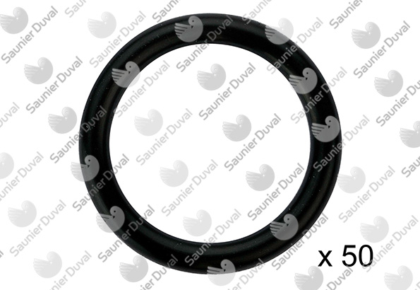 SAUNIER DUVAL  S5496800